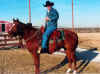 On Gambler Dec 2006 post.jpg (608893 bytes)